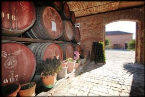 DIMORA STORICA RISTRUTTURATA CON PARCO E TERRAZZO