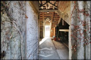 DIMORA STORICA RISTRUTTURATA CON PARCO E TERRAZZO