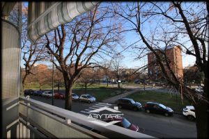 2 Locali affittasi transitorio Via Vigliani 199