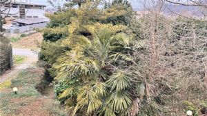 COSTIGLIOLE D'ASTI -VILLA BIFAMILIARE CON GIARDINO PRIVATO