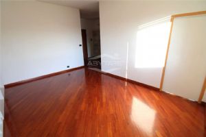 Beinasco in vendita trilocale libero subito