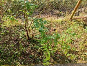 Via Tortona 6 • Spineto Scrivia (AL)