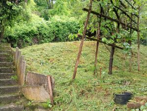 Via Tortona 6 • Spineto Scrivia (AL)