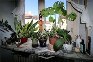 Trilocale signorile in vendita Torino Centro