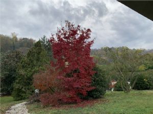 VILLA CON PISCINA E CAMPO DA TENNIS A POCHI MINUTI DA ASTI