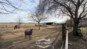 Terreno industriale di 4000 mq con magazzino.