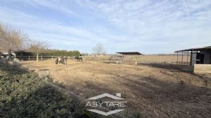 Terreno industriale di 4000 mq con magazzino.