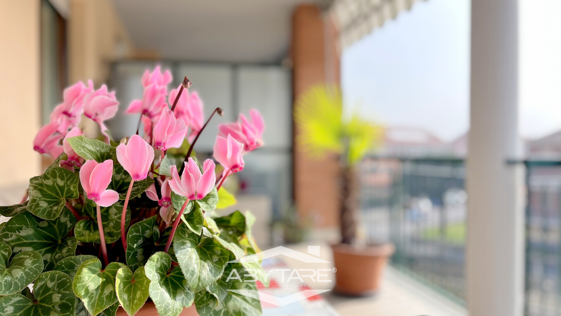 La tua casa Abytare..
Alcune immagini di questo an...