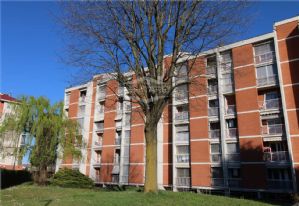 BORGOMELANO IN VENDITA QUADRILOCALE LIBERO AL ROGITO