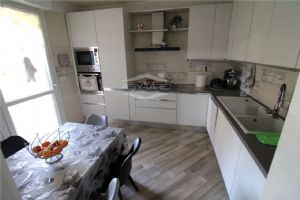 BORGOMELANO IN VENDITA QUADRILOCALE LIBERO AL ROGITO