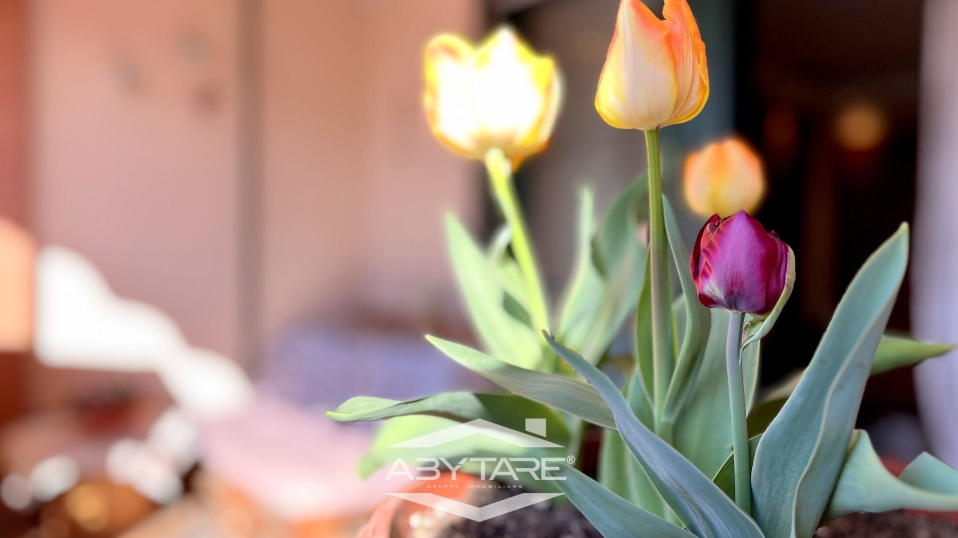 La tua casa Abytare..
