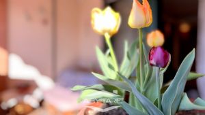 La tua casa Abytare..
