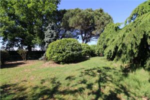 ORBASSANO IN VENDITA VILLA UNI-BIFAMILIARE LIBERA SUBITO