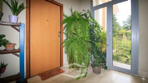 Elegante appartamento con mansarda Torino precollina