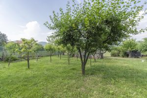 Villa indipendente Cumiana