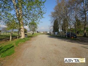 ORBASSANO IN VENDITA MANEGGIO