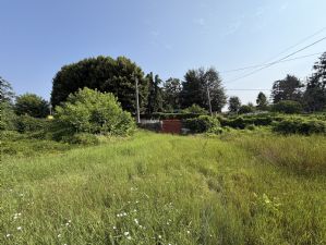 Rustico con terreno