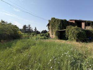 Rustico con terreno