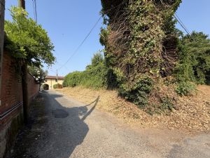 Rustico con terreno