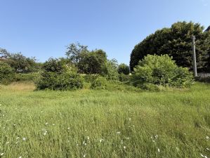 Rustico con terreno