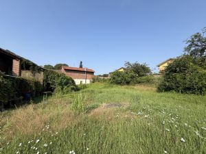 Rustico con terreno