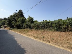 Rustico con terreno
