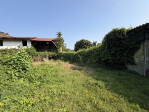 Rustico con terreno