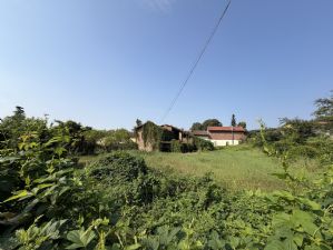 Rustico con terreno